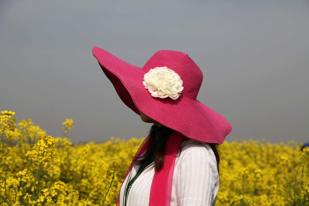 油菜花，扬州园林 150.jpg