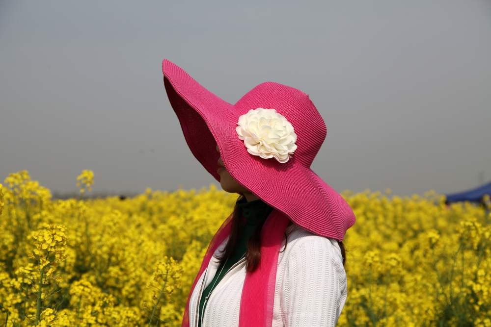 油菜花，扬州园林 149.jpg
