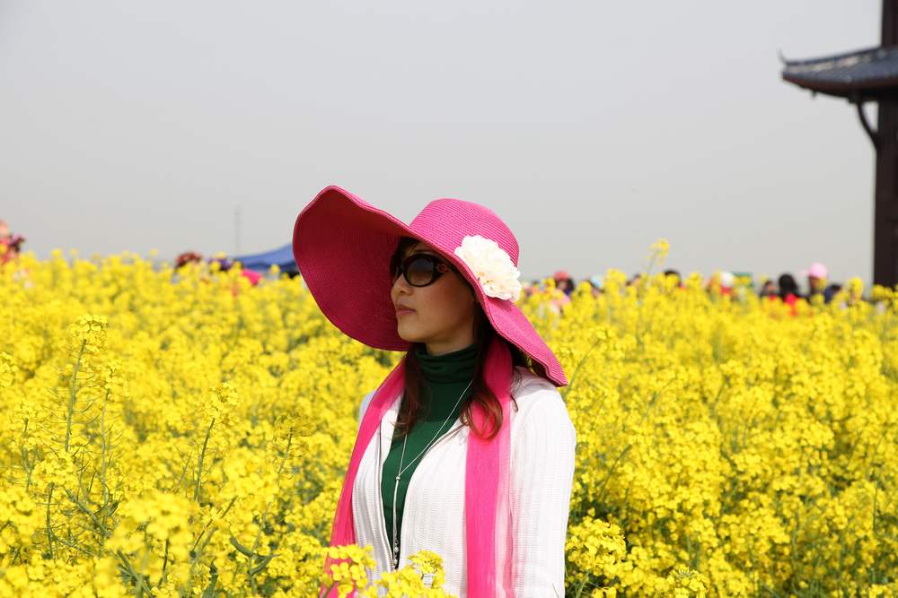 油菜花，扬州园林 154.jpg