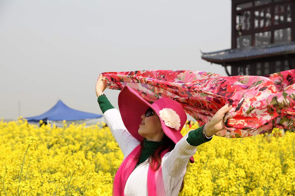 油菜花，扬州园林 157.jpg