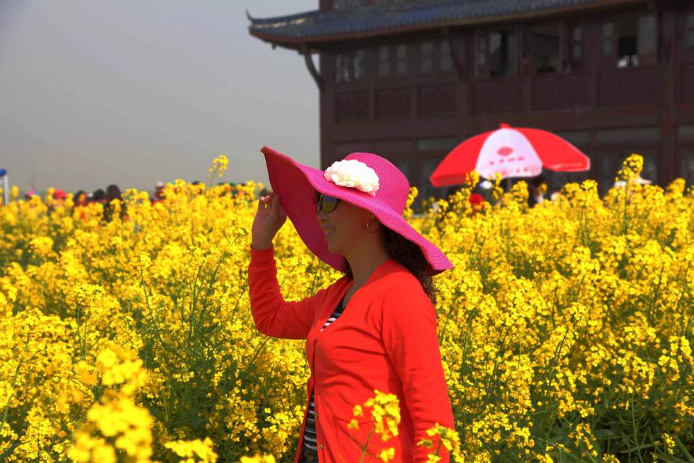 油菜花，扬州园林 164.jpg