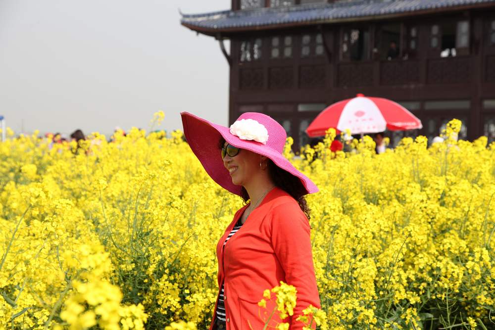 油菜花，扬州园林 165.jpg