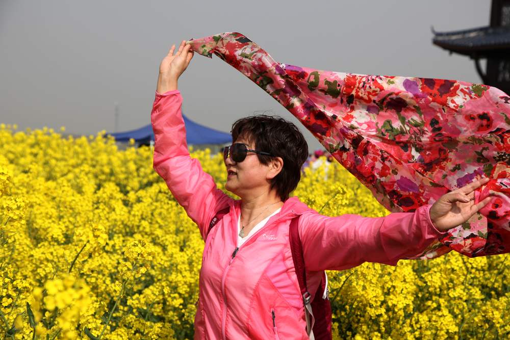 油菜花，扬州园林 170.jpg