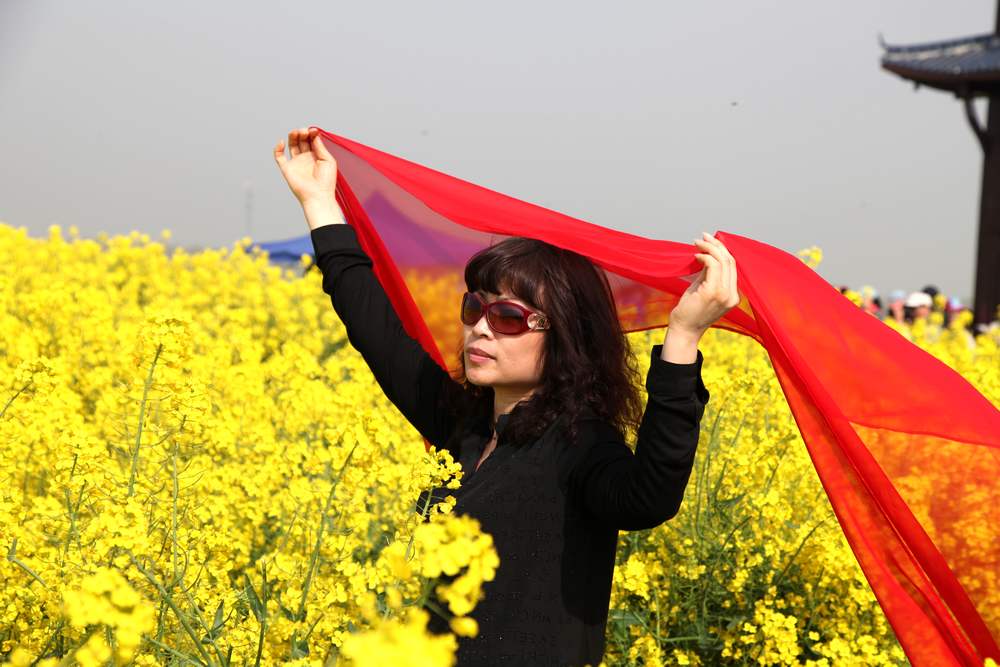 油菜花，扬州园林 173.jpg