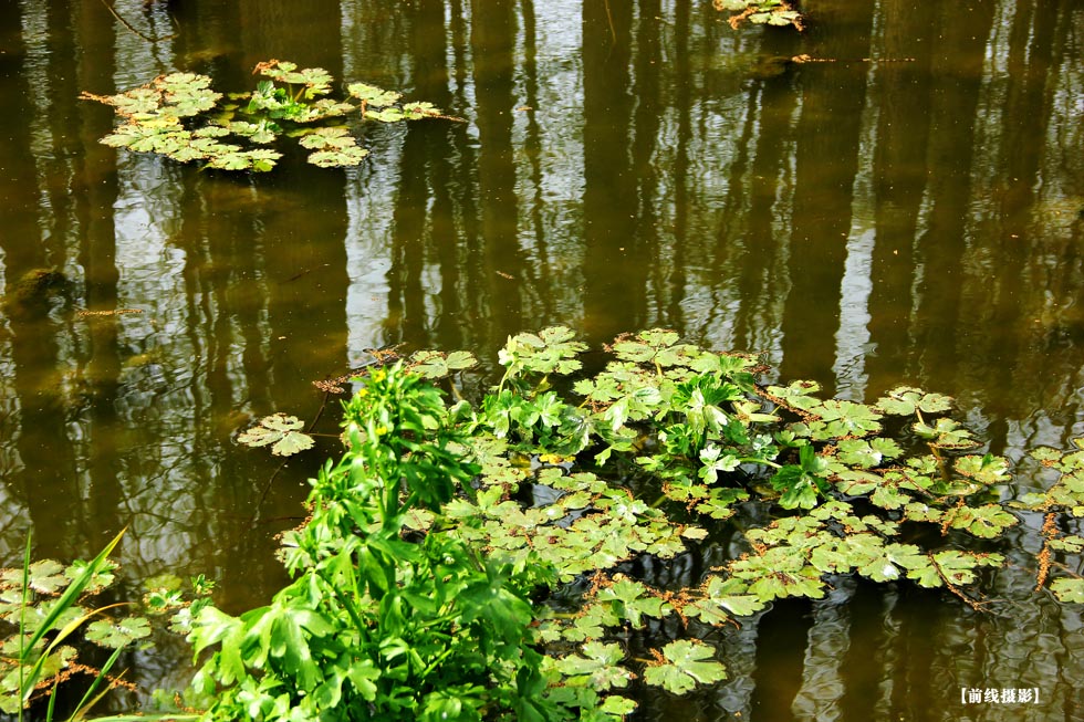IMG_0740副本.jpg
