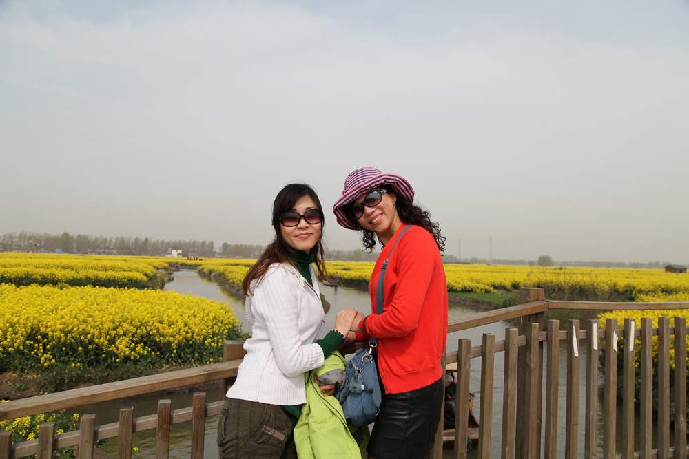 油菜花，扬州园林 234.jpg