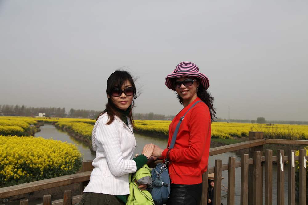 油菜花，扬州园林 236.jpg