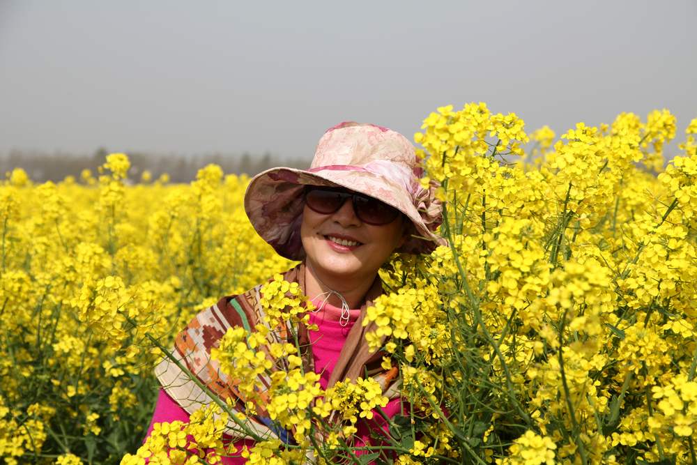 油菜花，扬州园林 240.jpg