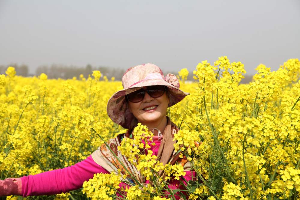 油菜花，扬州园林 242.jpg