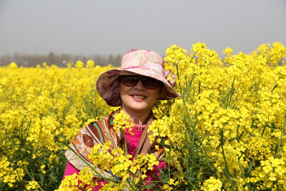 油菜花，扬州园林 241.jpg