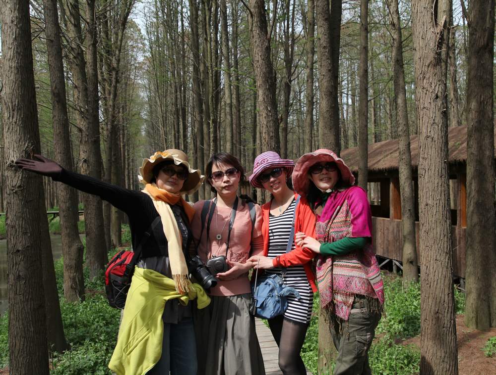 油菜花，扬州园林 387.jpg