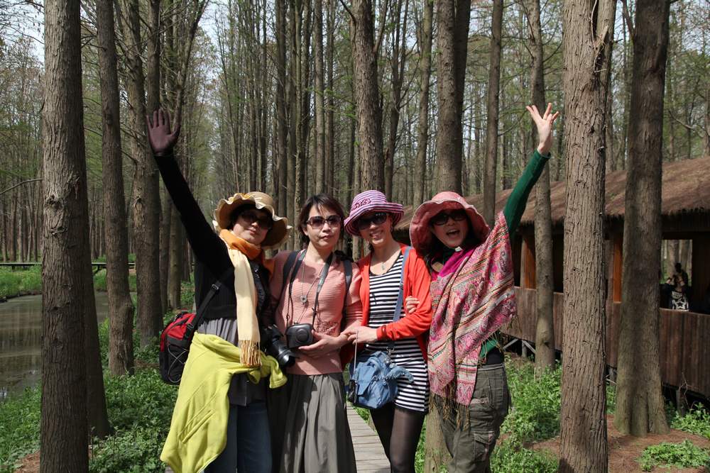 油菜花，扬州园林 388.jpg