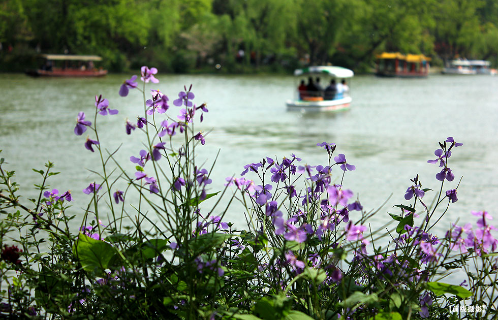 IMG_0786副本.jpg