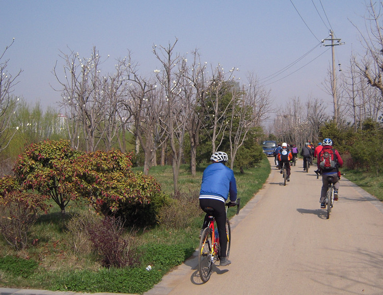 就一个人骑公路车.jpg