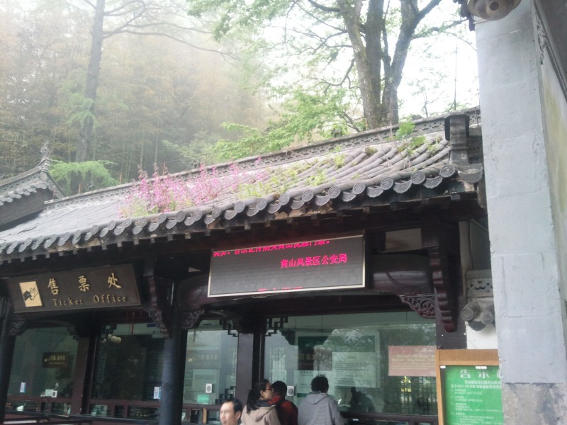 conew_照片045.jpg