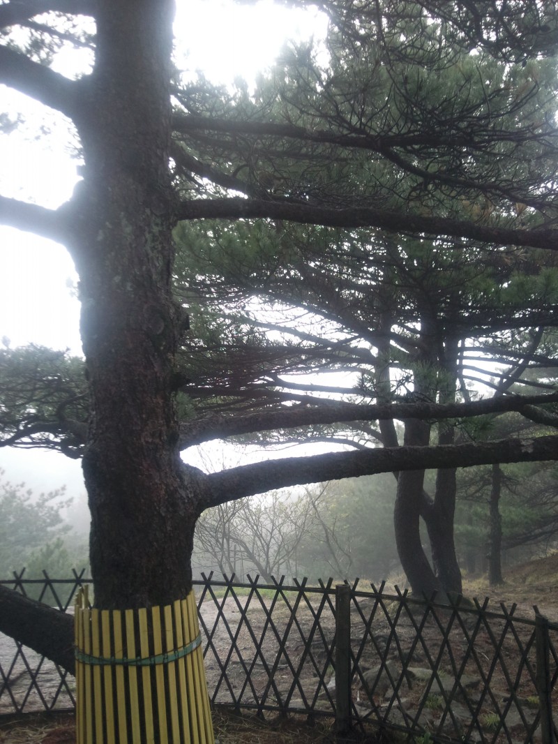 conew_照片050.jpg
