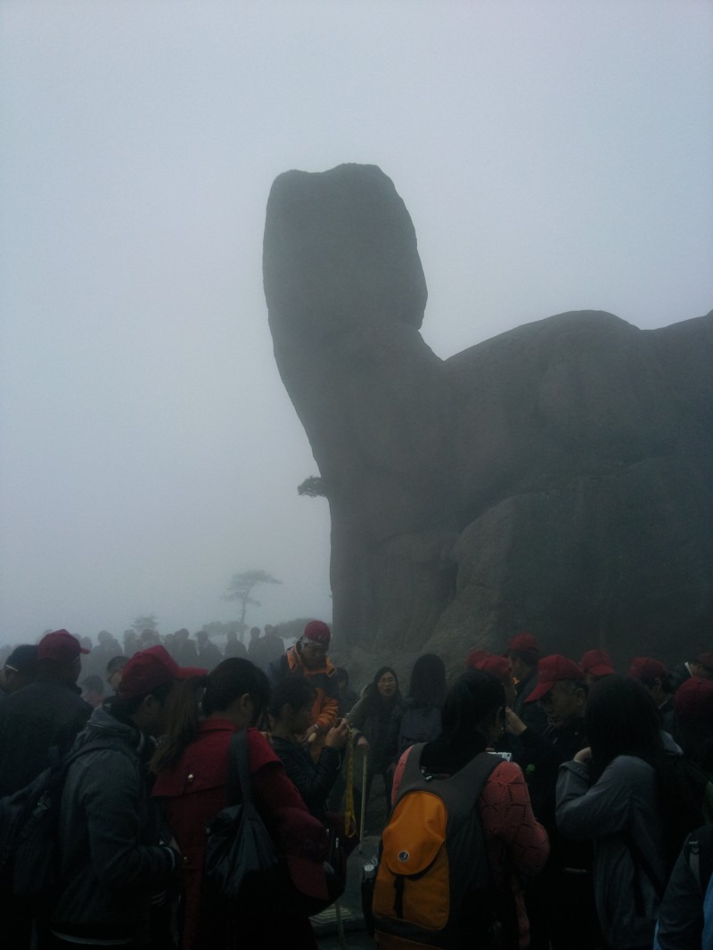 conew_照片049.jpg