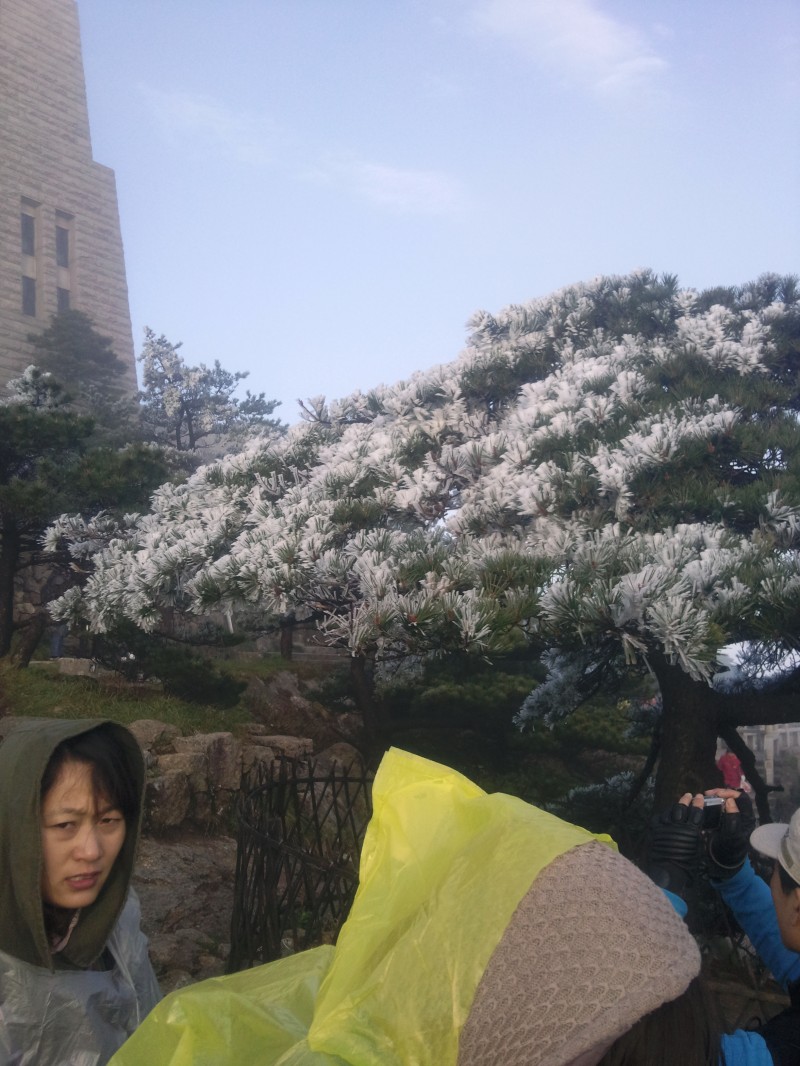 conew_照片052.jpg