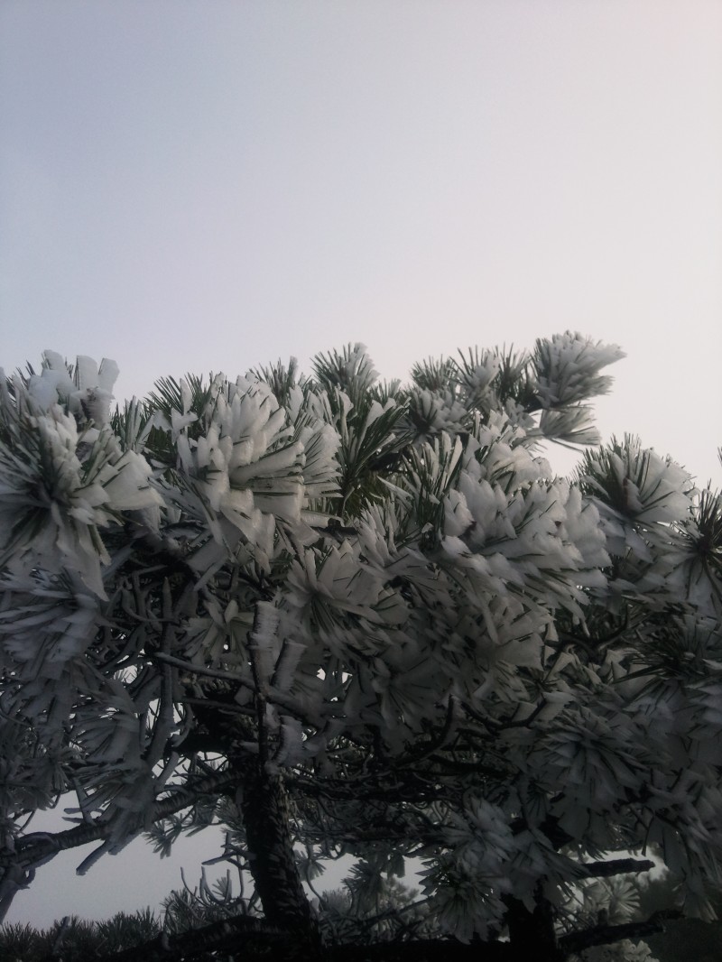 conew_照片054.jpg