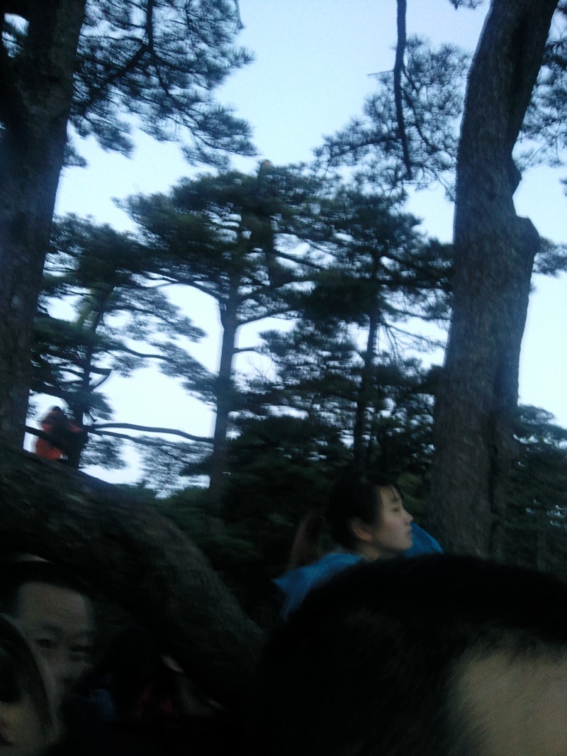 conew_照片062.jpg