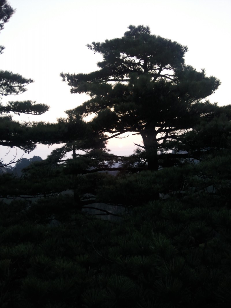 conew_照片065.jpg