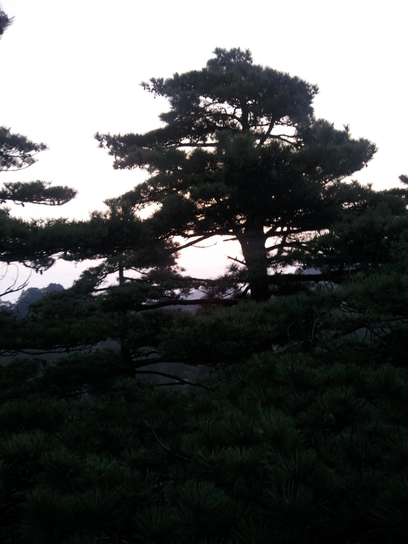 conew_照片064.jpg