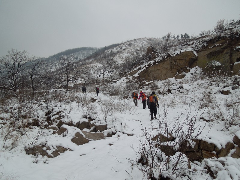 进山2.jpg