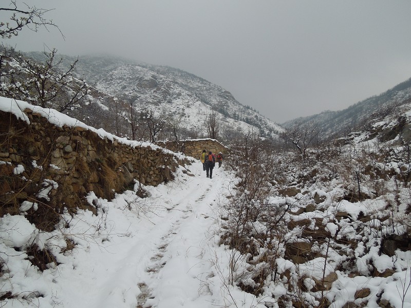 进山因大雾根本看不到城隍山.jpg