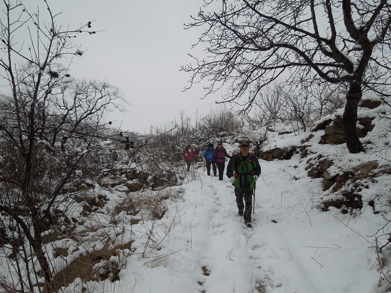 进山1.jpg