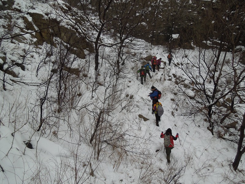 上山8.jpg