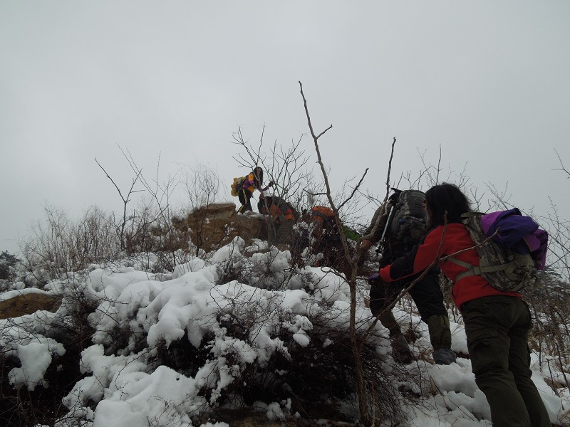 上山6.jpg