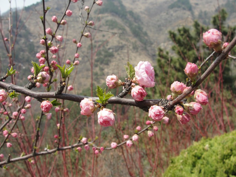 DSC03588_副本.jpg