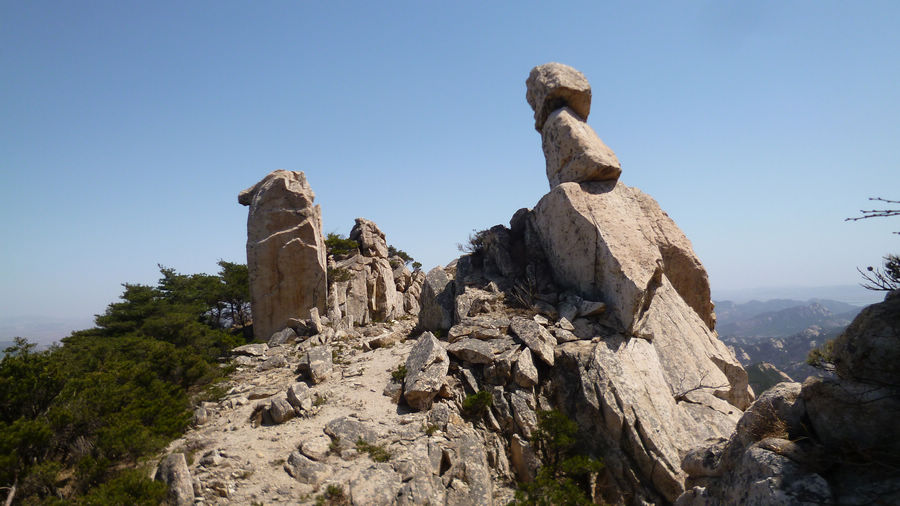 P1130049.jpg
