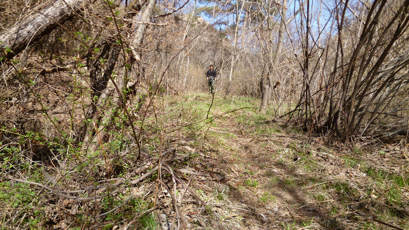 P1130151.jpg