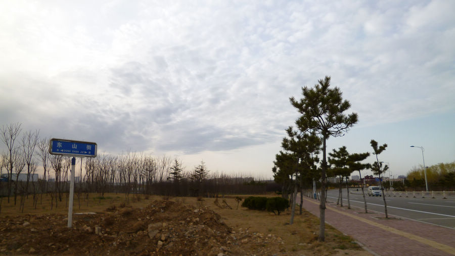 P1130201.jpg