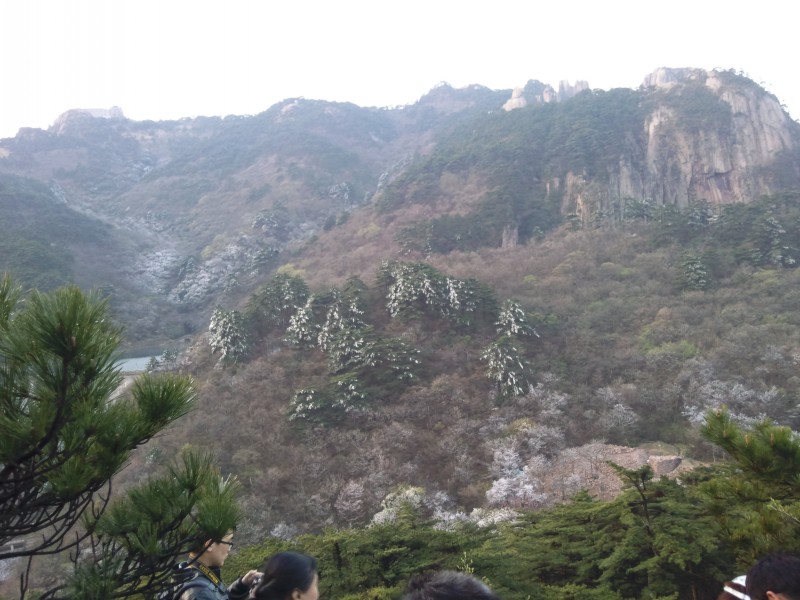 conew_照片072.jpg