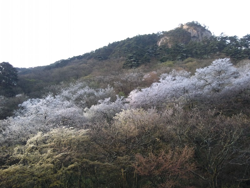 conew_照片074.jpg