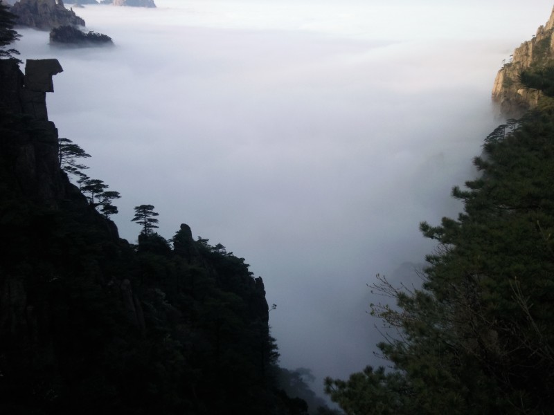 conew_照片076.jpg