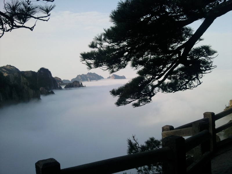 conew_照片081.jpg