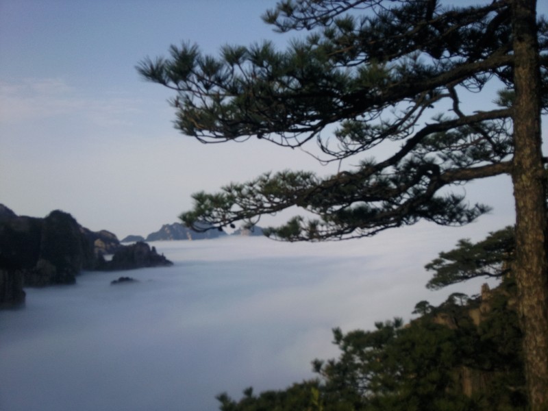 conew_照片090.jpg