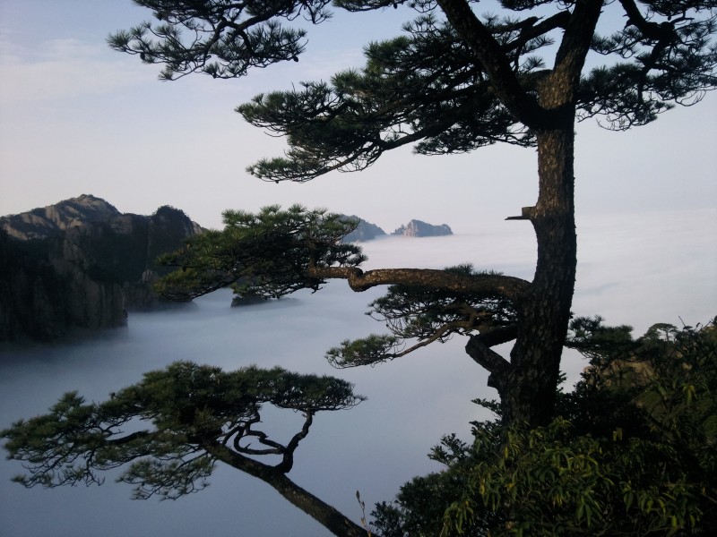 conew_照片092.jpg
