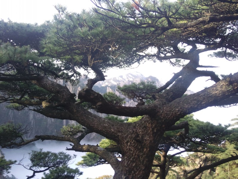 conew_照片096.jpg