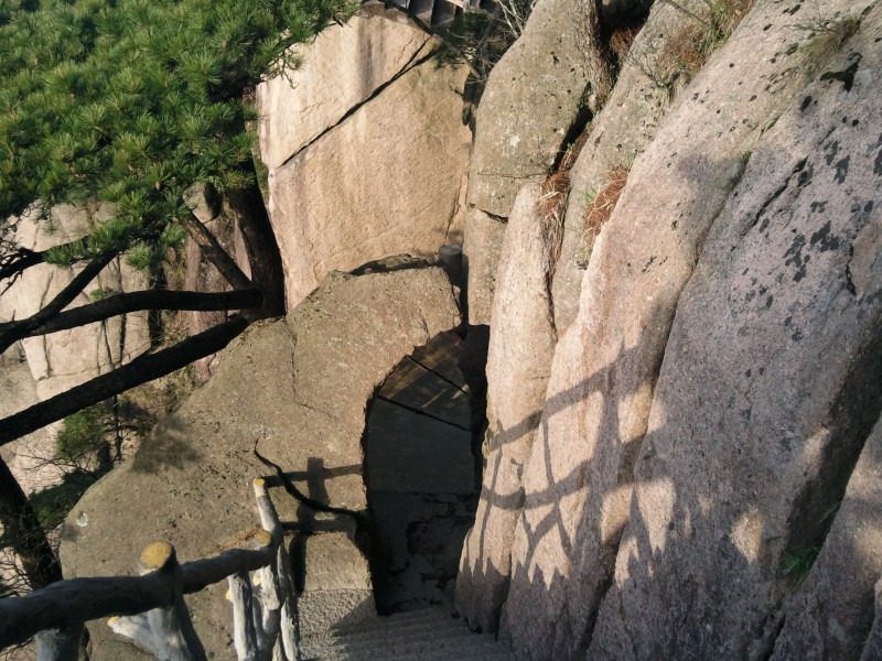 conew_照片102.jpg