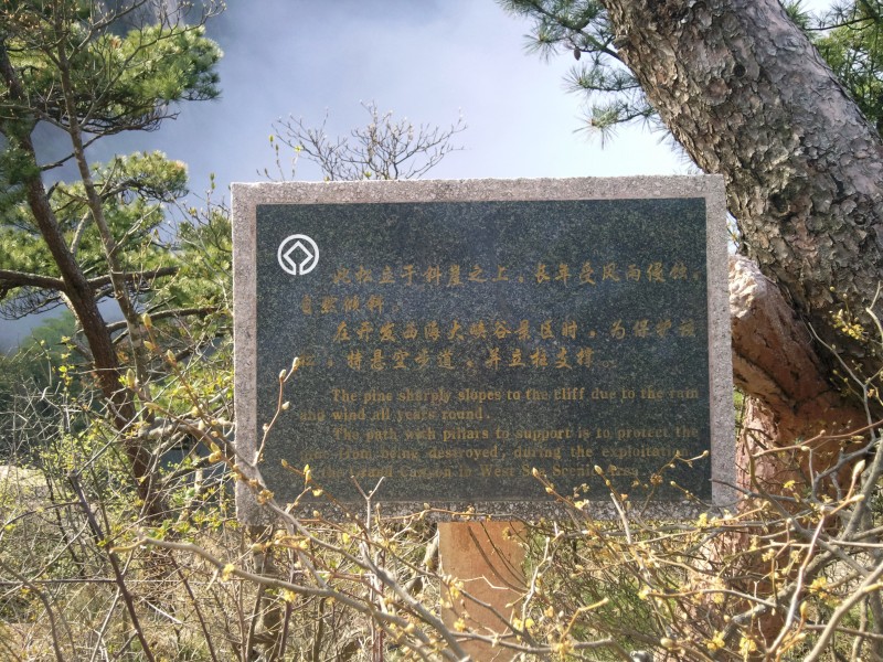 conew_照片105.jpg