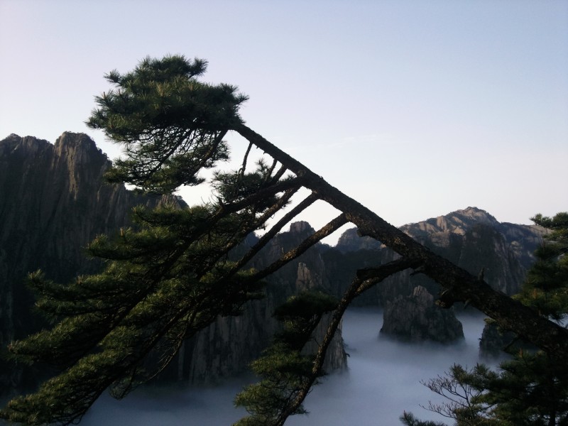 conew_照片104.jpg