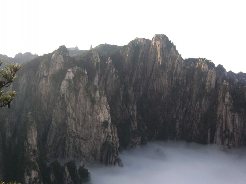 conew_照片108.jpg