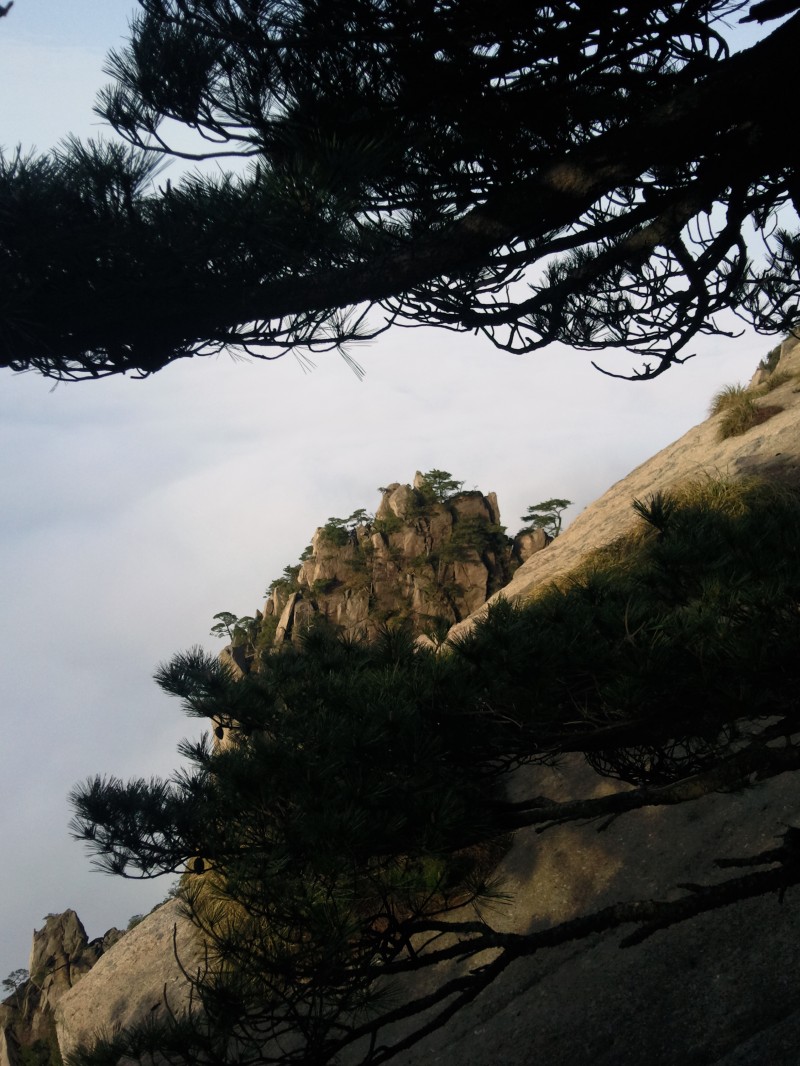 conew_照片109.jpg