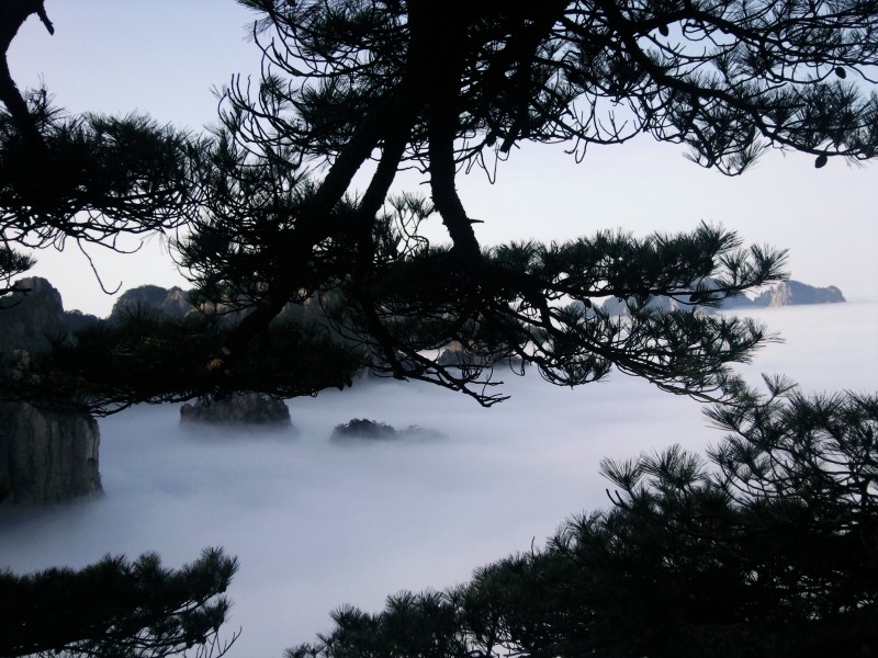 conew_照片110.jpg