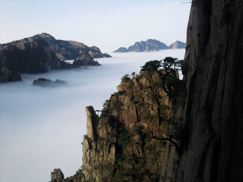 conew_照片113.jpg