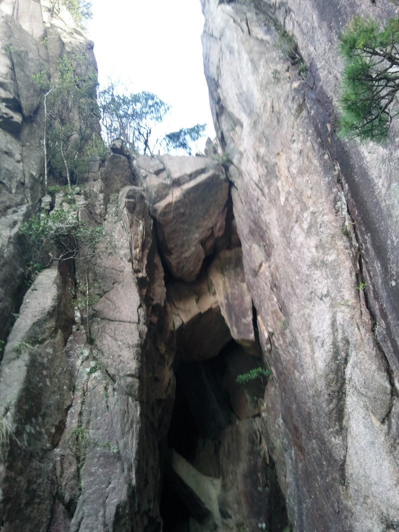 conew_照片116.jpg